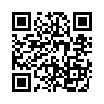 5913101113F QRCode