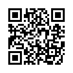 593212130013F QRCode