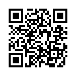 6-1393139-4 QRCode