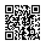 6013R-012 QRCode