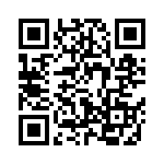 61030010013010 QRCode