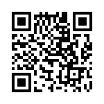 61RS256-060 QRCode