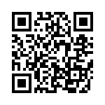 633V13306A2T QRCode