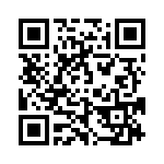 637E133A2I2T QRCode