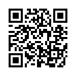 637E133A3I2T QRCode