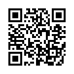 637E133A6C2T QRCode