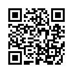 637E17333I3T QRCode