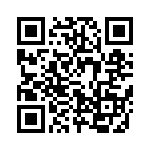 637P13303C3T QRCode