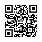 6382-4PG-519 QRCode