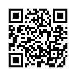 638E16113I3T QRCode