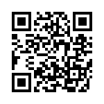 638V16113I3T QRCode