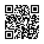 653E13303C2T QRCode