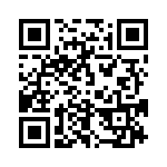 653E13303C3T QRCode