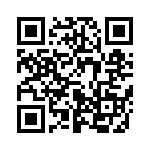 653E21253I3T QRCode