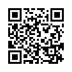 653P17333C2T QRCode