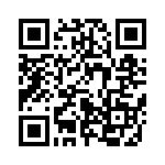 653P21256A3T QRCode