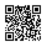 653P4002I3T QRCode