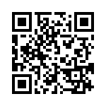 691101710002 QRCode