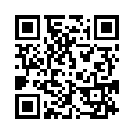 691311700103 QRCode