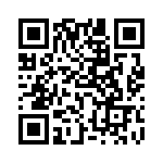 741X163473J QRCode