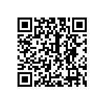 767141101GPTR13 QRCode