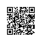 767141393GPTR13 QRCode