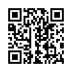 767161331G QRCode