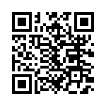 767161333GP QRCode