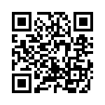 768161334GP QRCode