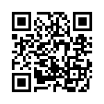 768161394GP QRCode