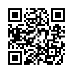 8-1393243-1 QRCode