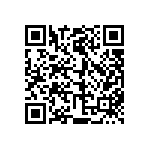 811-22-001-30-004101 QRCode