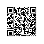 813-22-028-30-001101 QRCode