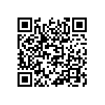 813-22-036-30-000101 QRCode