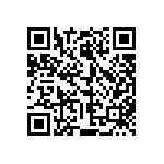 813-22-038-30-006101 QRCode