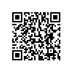 813-SS-006-30-001101 QRCode