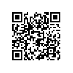 813-SS-016-30-001101 QRCode