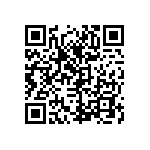 86130101013345E1LF QRCode