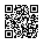 91-533724-12P QRCode