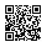 919-384J-51P QRCode