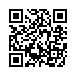 91900-21251LF QRCode