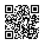 91J33R QRCode