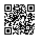 924217-28-17-I QRCode