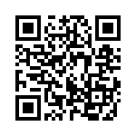 95200-404LF QRCode