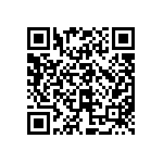 97-3106B22-9SW-417 QRCode