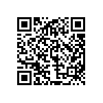 97-3107A24-12PZ-417 QRCode