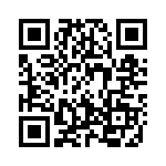 99022 QRCode