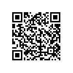 9C-4-194304MAAJ-T QRCode