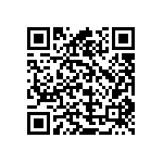 9T06031A3013BBHFT QRCode