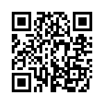 A13EB QRCode